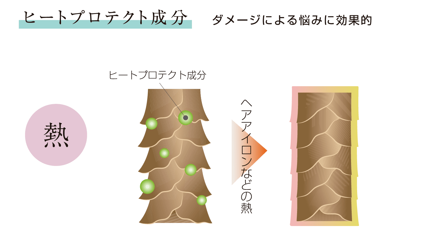 熱を味方にダメージから髪を守る