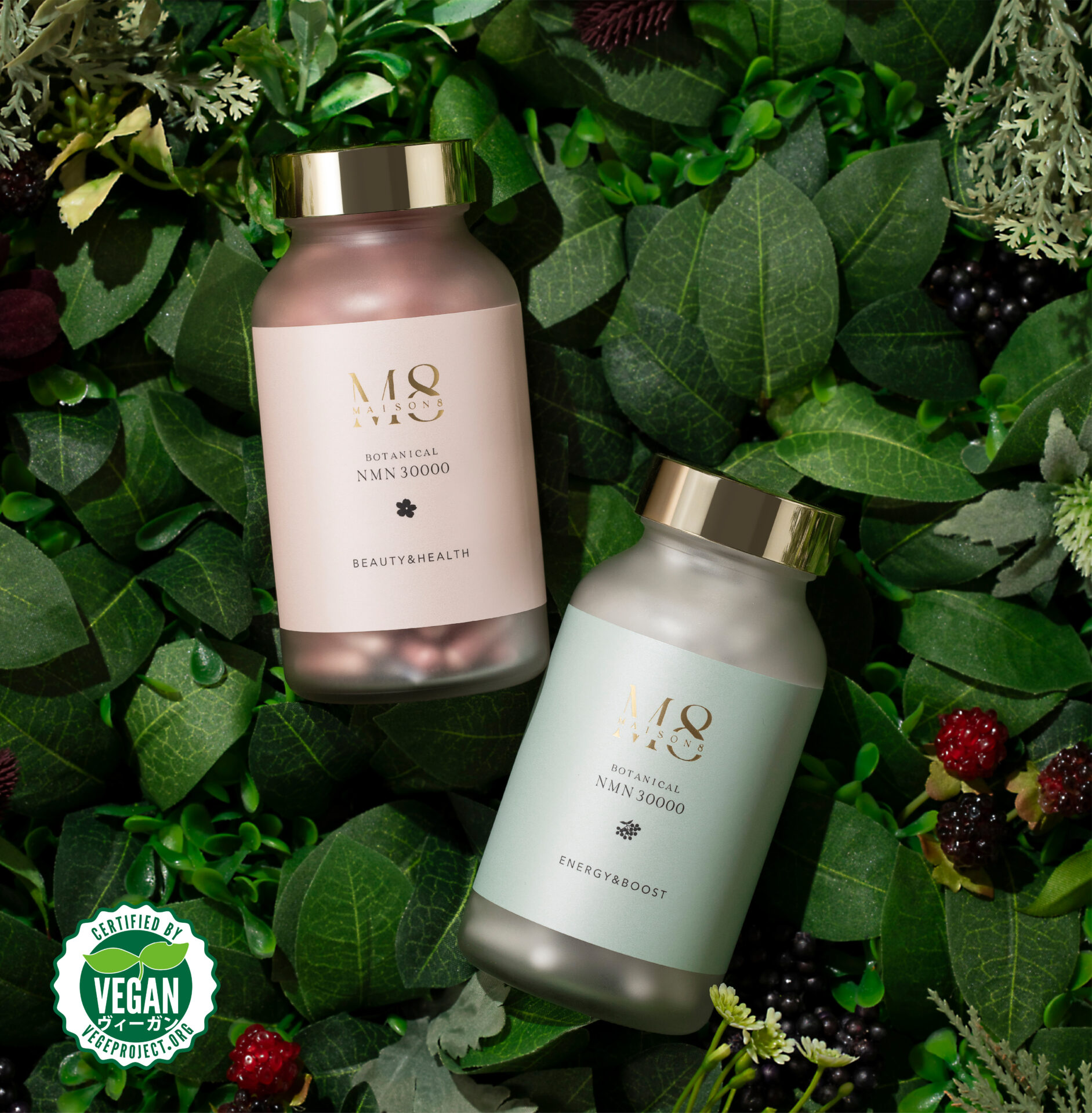 MAISON8 ボトル写真(葉の上)