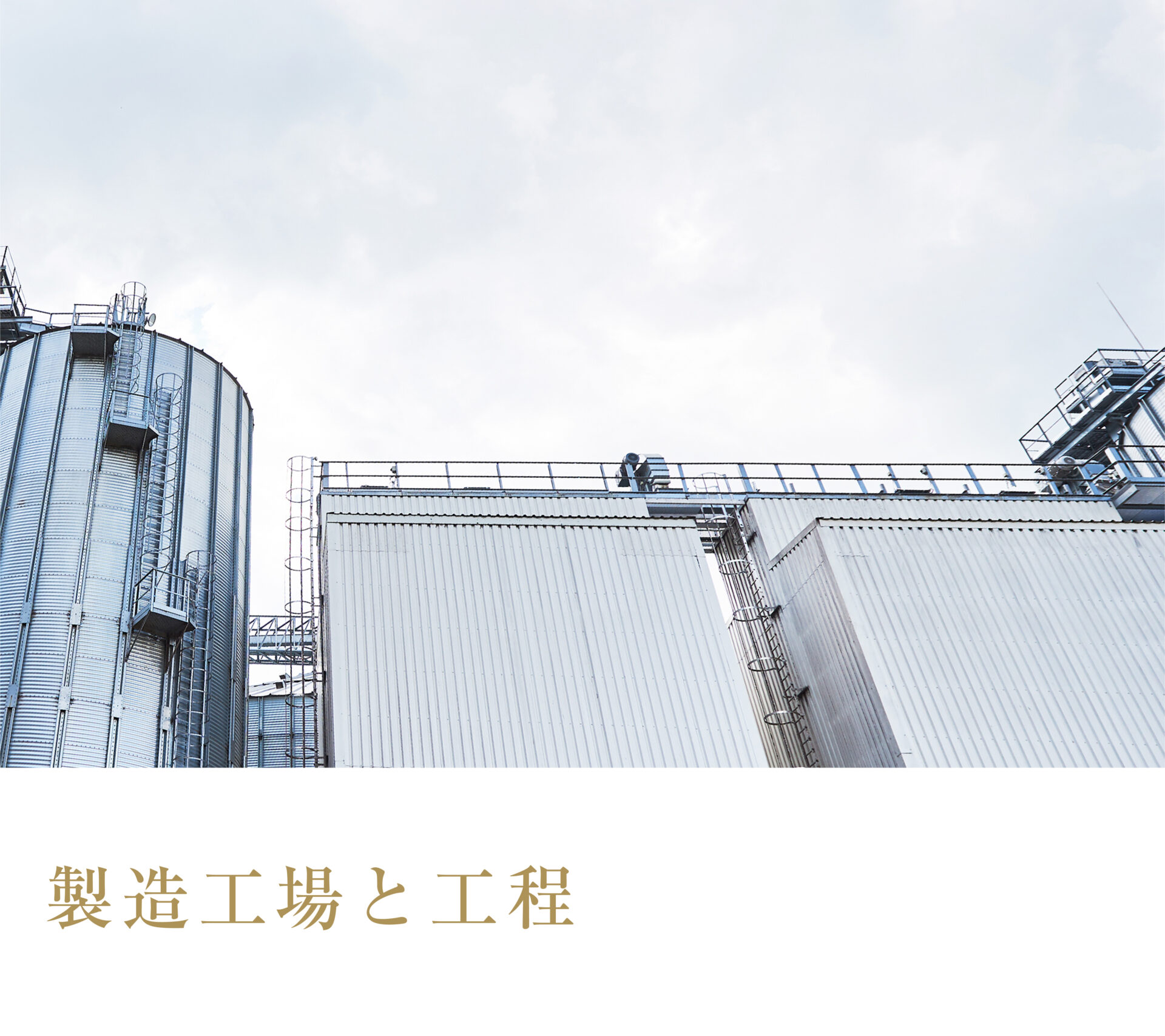 製造工場と工程 画像