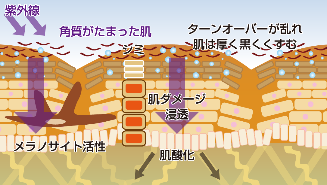STEP1 PPP3